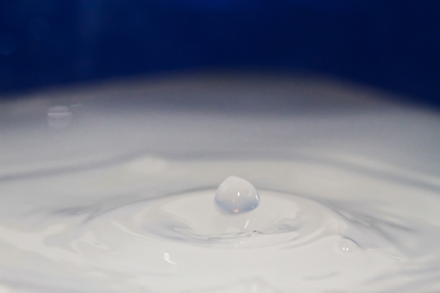 Čudesne kapi, foto: Leo Banić