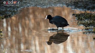 Nedjeljno svitanje na Vranskom jezeru Nedjeljno svitanje na Vranskom jezeru