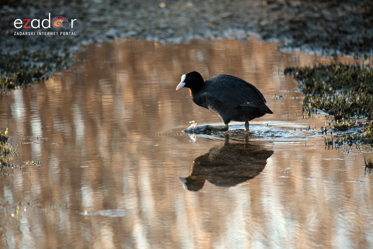 Nedjeljno svitanje na Vranskom jezeru Nedjeljno svitanje na Vranskom jezeru