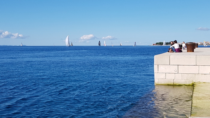 Zadarska Koka 2016. 22. listopada 2016. Foto: Mladen Malik Zadarska Koka 2016. 22. listopada 2016. Foto: Mladen Malik