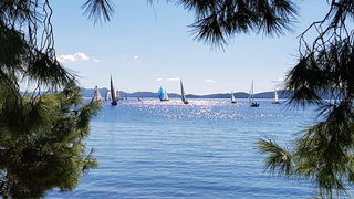 Zadarska Koka 2016. 22. listopada 2016. Foto: Mladen Malik Zadarska Koka 2016. 22. listopada 2016. Foto: Mladen Malik