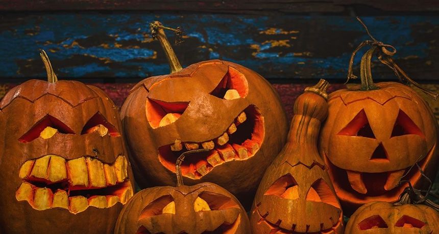 noć vještica, bundeva noć vještica, bundeva