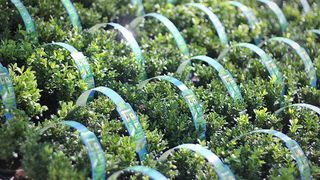 Velika fešta u bauMaxu 8. rujna 2012, Foto: Saša Čuka Velika fešta u bauMaxu 8. rujna 2012, Foto: Saša Čuka