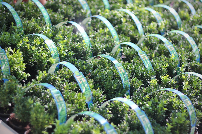 Velika fešta u bauMaxu 8. rujna 2012, Foto: Saša Čuka Velika fešta u bauMaxu 8. rujna 2012, Foto: Saša Čuka