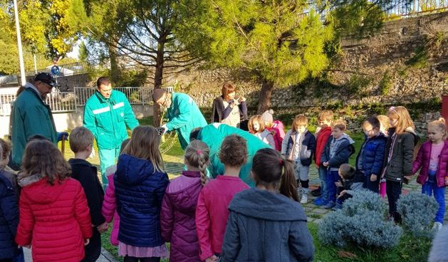 DV Radost, maslinik, masline, djeca