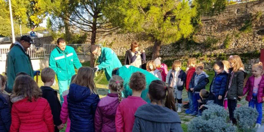 DV Radost, maslinik, masline, djeca DV Radost, maslinik, masline, djeca