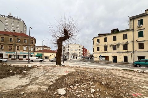 odjel za arheologiju