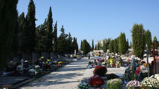 Blagdan Svih Svetih na groblju Belafuža 1. studenog 2011, Foto: Mladen Malik Blagdan Svih Svetih na groblju Belafuža 1. studenog 2011, Foto: Mladen Malik
