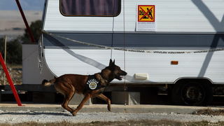Vir, 190213.
Otok Vir. 
Kao sto je i najavljeno, pocelo je rusenje ilegalnih objekata. Polazisna tocka bagera je otok Vir na kojem je oko 8.000 bespravno izgradjenih objekata. Nesto prije 9 sati prvi je bager stigao na taj otok. Policija asistira na podru