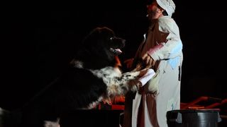 Cirkus Apollo (foto: Filip Plazonić)