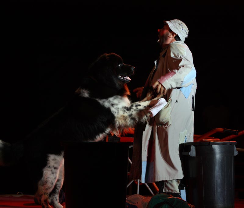 Cirkus Apollo (foto: Filip Plazonić)