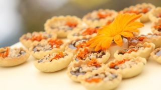 U Sv. Filip i Jakovu danas je otvoren 14. Festival cvijeća Zadarske županije, Foto: Dino Stanin/PIXSELL