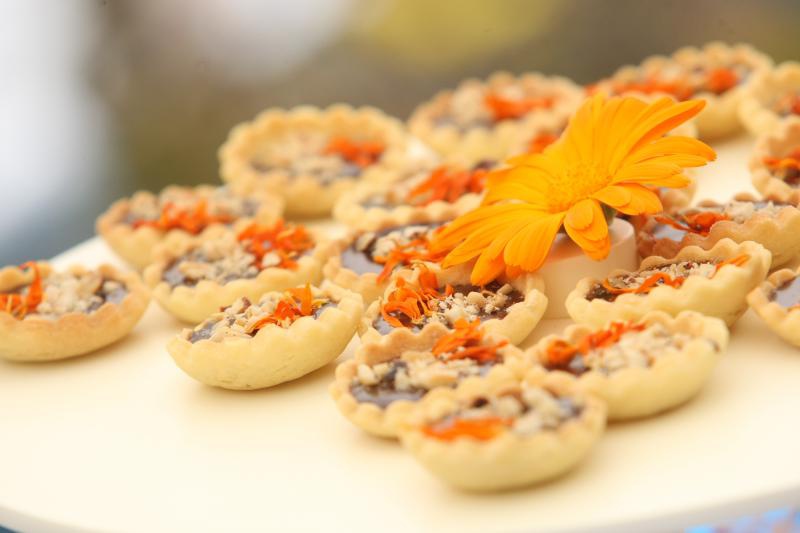 U Sv. Filip i Jakovu danas je otvoren 14. Festival cvijeća Zadarske županije, Foto: Dino Stanin/PIXSELL