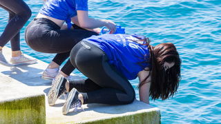 Ludijada maturanata na zadarskoj rivi 17. svibnja 2016. Foto: Bojan Bogdanić