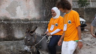 Image 1088981 (auto)