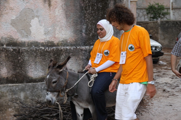 Image 1088981 (auto)