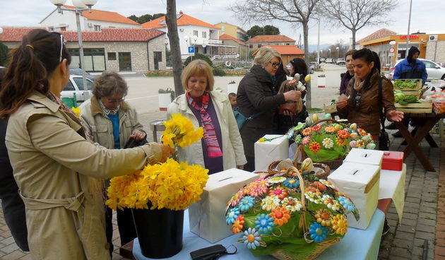 Dan narcisa u Ugljanu