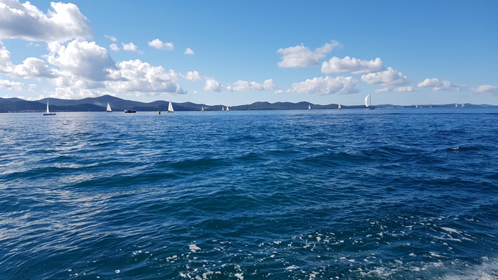 Zadarska Koka 2016. 22. listopada 2016. Foto: Mladen Malik Zadarska Koka 2016. 22. listopada 2016. Foto: Mladen Malik