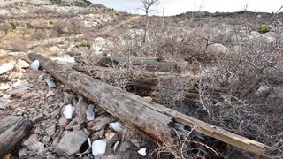 Karlobag: Srušeni stupovi niskonaponske mreže, Foto: Dino Stanin/PIXSELL Karlobag: Srušeni stupovi niskonaponske mreže, Foto: Dino Stanin/PIXSELL