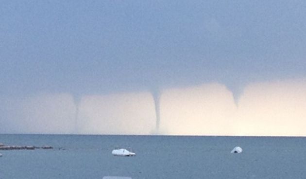 Zapanjujuće: Desetak pijavica ‘zaplesalo’ pred obalom Istre, foto: 24sata