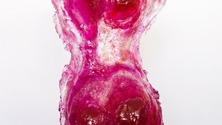 “Aurora Borealis” Julijane Voloder – nova izložba u Muzeju antičkog stakla