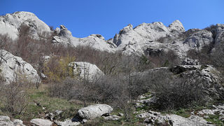 Ako ste u mogućnosti za mali izlet, posjetite Stap – veliko krško polje na Južnom Velebitu, na 960 m visine, foto: Vedran Penga