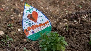 U Vruljici uređen Kišni vrt U Vruljici uređen Kišni vrt