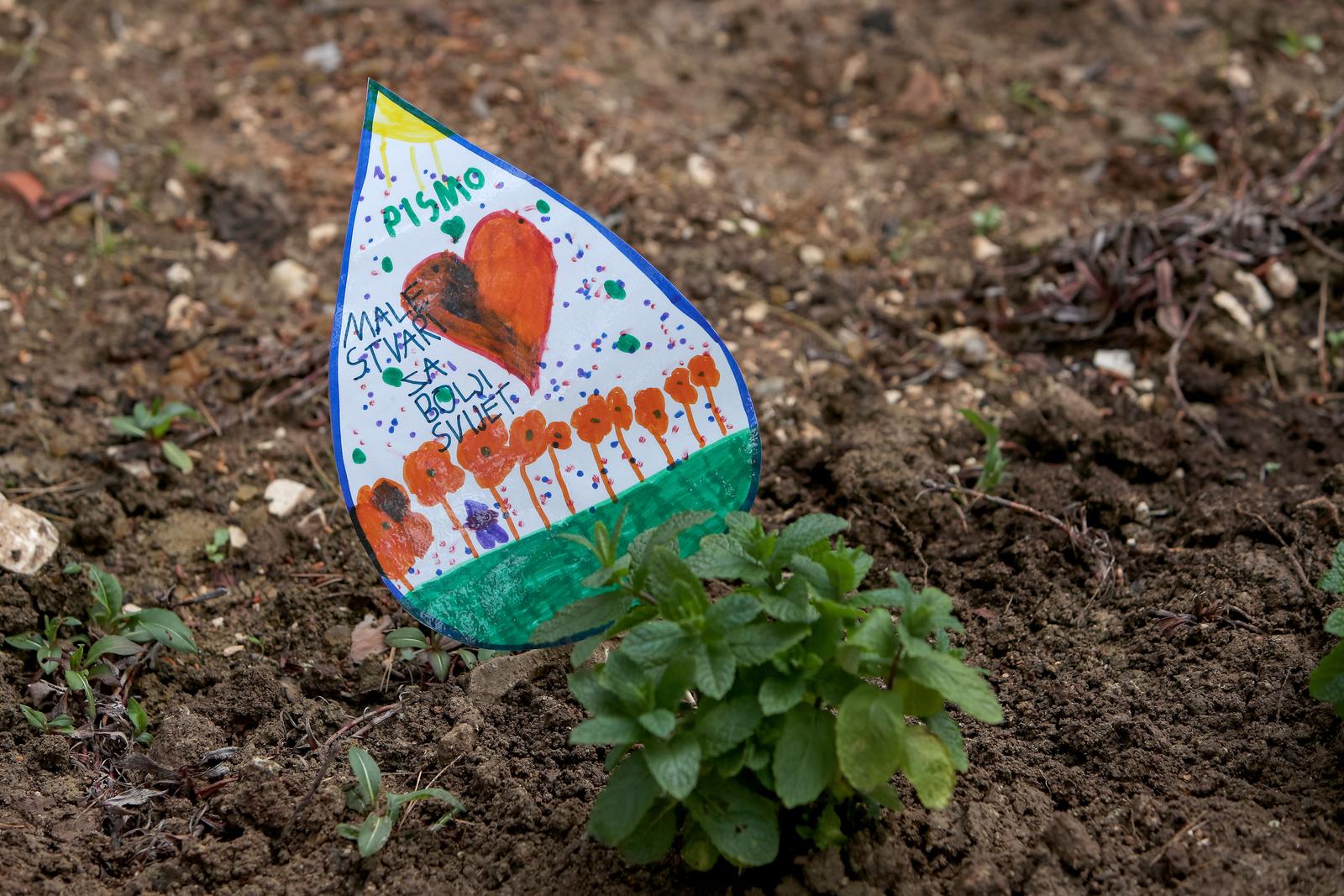 U Vruljici uređen Kišni vrt U Vruljici uređen Kišni vrt