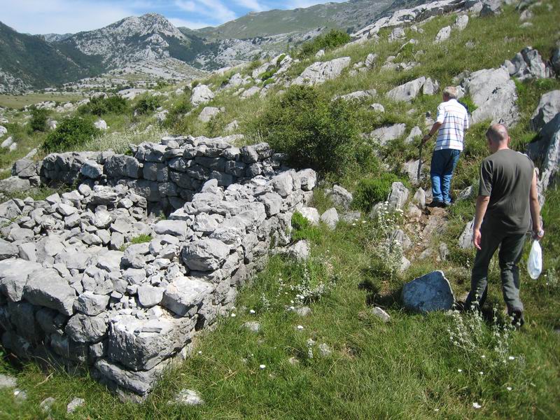 Image 1177349 (auto)