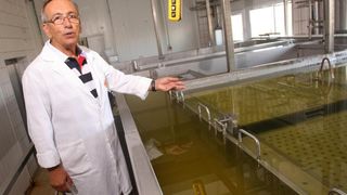 Paški sir sirane Gligora osvojio titulu najboljeg sira na svijetu, Photo: Dino Stanin/PIXSELL Paški sir sirane Gligora osvojio titulu najboljeg sira na svijetu, Photo: Dino Stanin/PIXSELL