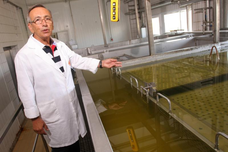 Paški sir sirane Gligora osvojio titulu najboljeg sira na svijetu, Photo: Dino Stanin/PIXSELL Paški sir sirane Gligora osvojio titulu najboljeg sira na svijetu, Photo: Dino Stanin/PIXSELL