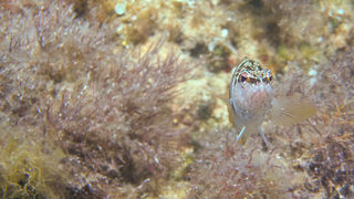 OLYMPUS DIGITAL CAMERA OLYMPUS DIGITAL CAMERA