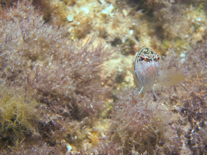 OLYMPUS DIGITAL CAMERA OLYMPUS DIGITAL CAMERA