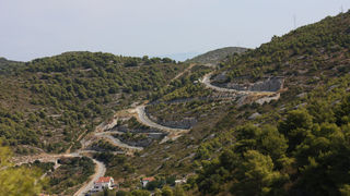 Image 1117647 (auto)