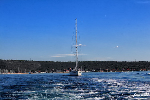 Đir s roniocima po Zadarskom arhipelagu, Foto: Roberto Lerga Đir s roniocima po Zadarskom arhipelagu, Foto: Roberto Lerga