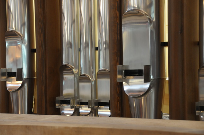 Nove orgulje u katedrali Svete Stosije u Zadru, Foto: Darko Dilber