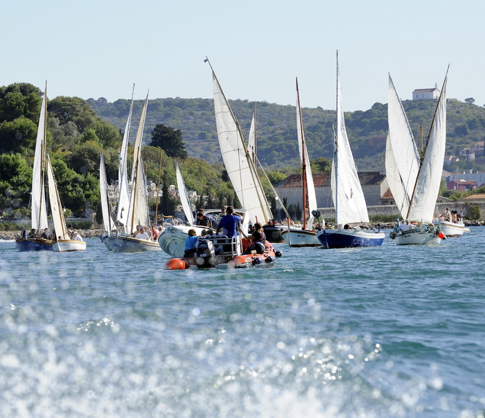 Murter, 021011.
U Murteru odrzana tradicionalna regata brodica ” Latinsko idro” gdje je sudjelovalo sedamdesetak posada.
Na slici: regata.
Foto: Jadran Babic / CROPIX Murter, 021011.
U Murteru odrzana tradicionalna regata brodica ” Latinsko idro” gdje je sudjelovalo sedamdesetak posada.
Na slici: regata.
Foto: Jadran Babic / CROPIX