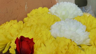 Gradska trznica uoci dana mrtvih, Foto: Mia Knezevic