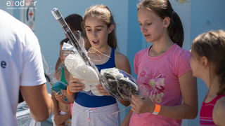 Meta feštica od balona i Ballon Jump