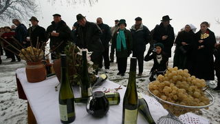 Vukovar, 220110.
U vinogradima Vukovara proslavlja se blagdan Sv. Vinka kada se tradicionalno blagoslove vinogradi. Na salasu Goldschmidt po 11 puta se odrzava Vinkovo na Vucedolu, gdje se moglo uzivati u vinu i gastronomskim specijalitetima.
Foto: Damir Vukovar, 220110.
U vinogradima Vukovara proslavlja se blagdan Sv. Vinka kada se tradicionalno blagoslove vinogradi. Na salasu Goldschmidt po 11 puta se odrzava Vinkovo na Vucedolu, gdje se moglo uzivati u vinu i gastronomskim specijalitetima.
Foto: Damir