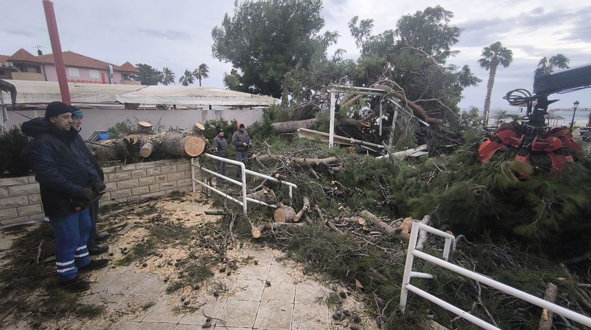 bura na viru posljedice bura na viru posljedice