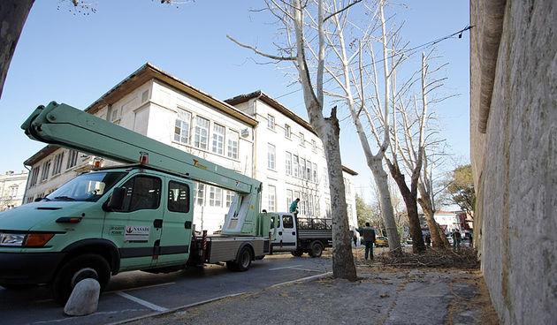 Image 1039409 (auto)