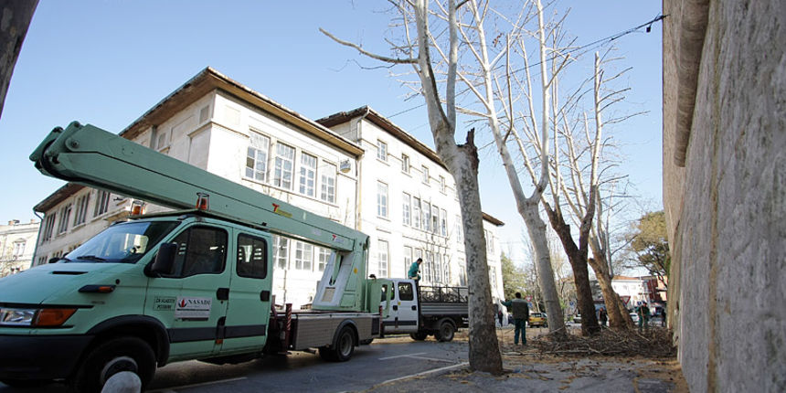 Image 1039409 (auto) Image 1039409 (auto)