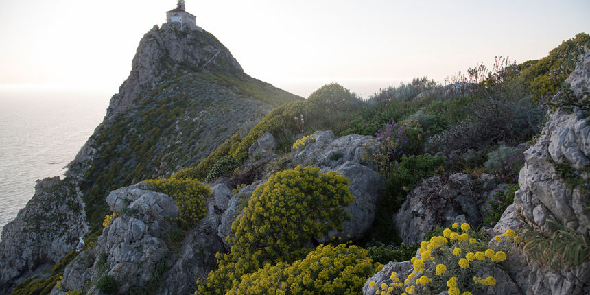 Palagruža, foto: Vinko Pešić Palagruža, foto: Vinko Pešić