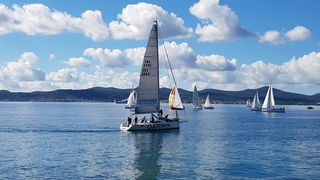 Zadarska Koka 2016. 22. listopada 2016. Foto: Mladen Malik Zadarska Koka 2016. 22. listopada 2016. Foto: Mladen Malik