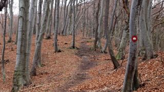 Samoborsko gorje, studeni 2010