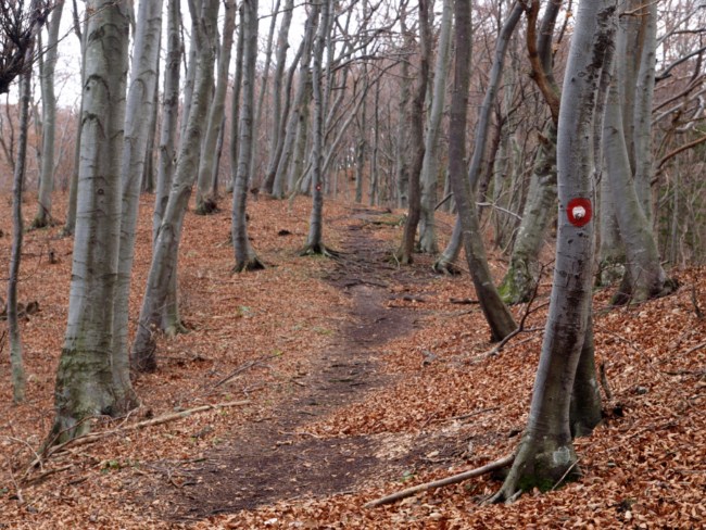 Samoborsko gorje, studeni 2010