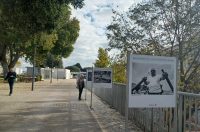 Zadarska šetnica s najlipšim pogledom u jesen je idealna za predah i “punjenje baterija” Zadarska šetnica s najlipšim pogledom u jesen je idealna za predah i “punjenje baterija”