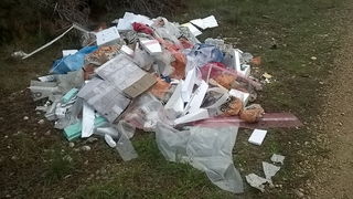 Park šuma Musapstan zagađena raznim otpadom Park šuma Musapstan zagađena raznim otpadom