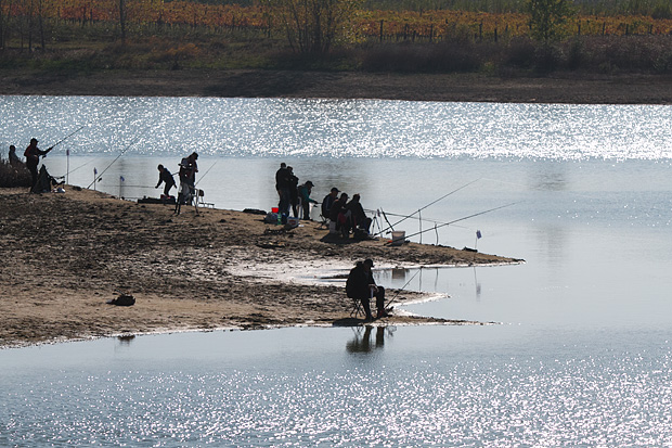 1. Memorijalni turnir u sportskom ribolovu “Darijo Čurković”, Foto: Leo Banić